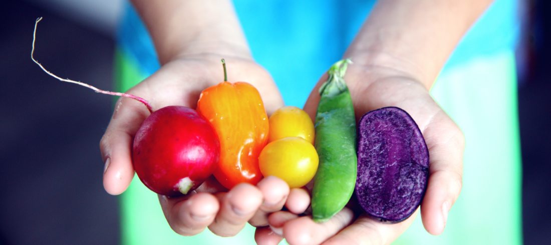 hands holding various veggies