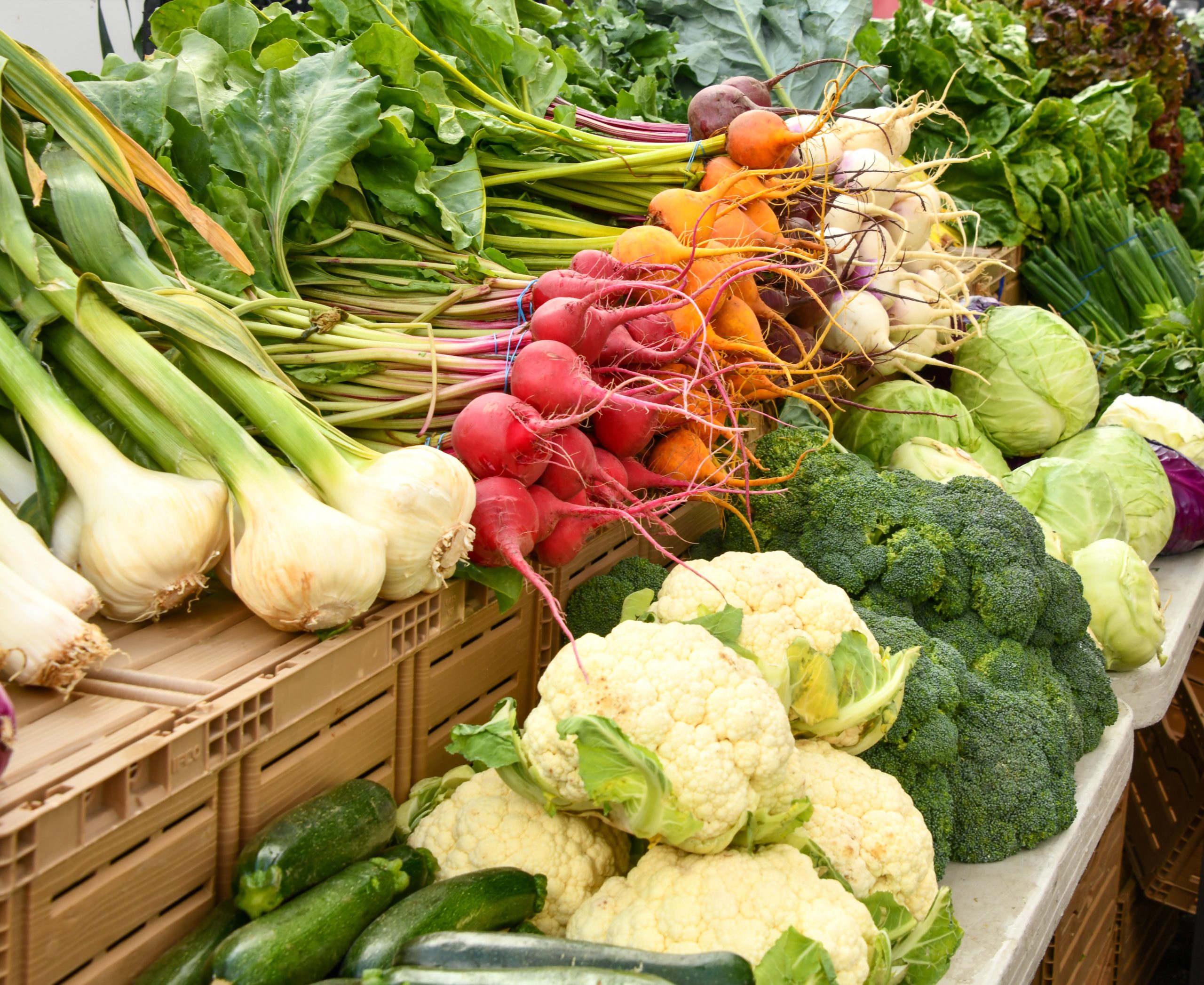 weight management program hudson valley